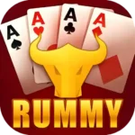 Rummy Bharat Apk